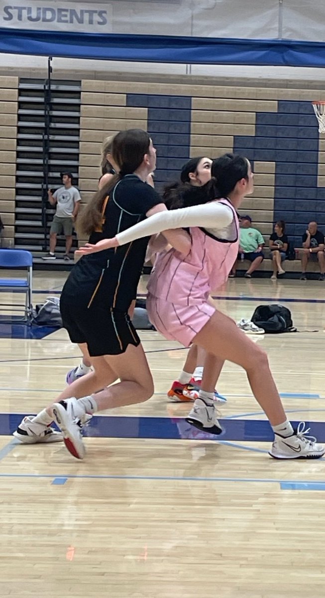 Crush Basketball tweet media