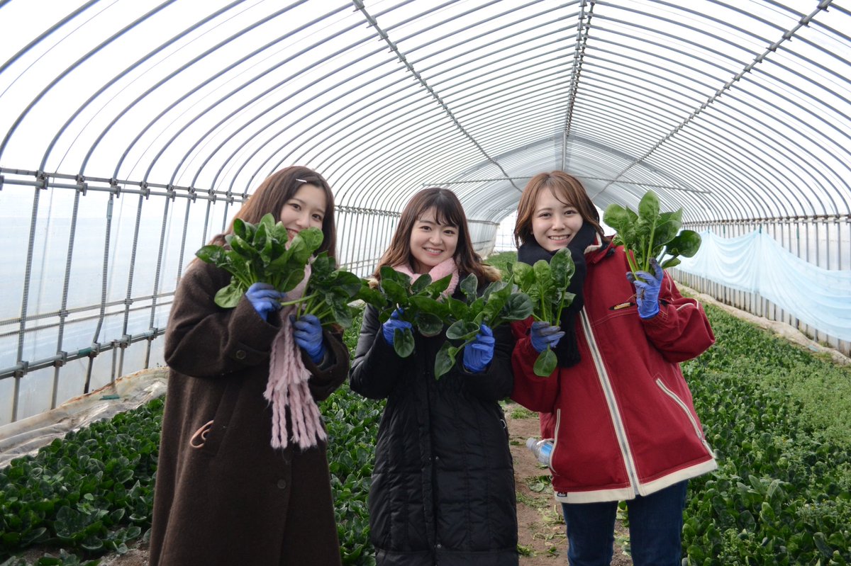キャンパスラボ #若者マーケティング tweet media