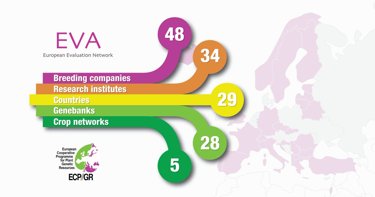 ECPGR's tweet photo. Working with breeders, researchers and genebanks, the #EVANetwork plays a key role in evaluating European crop diversity in multiple environments. The network just received full support from the @ECPGR Steering Committee for the next 5 years
👇
https://t.co/YyfNST8hT1 https://t.co/kAh2n09kd1