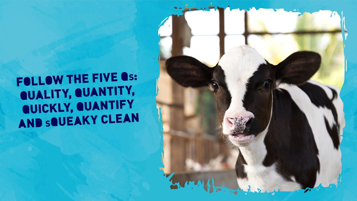 CALFMATTERS tweet media