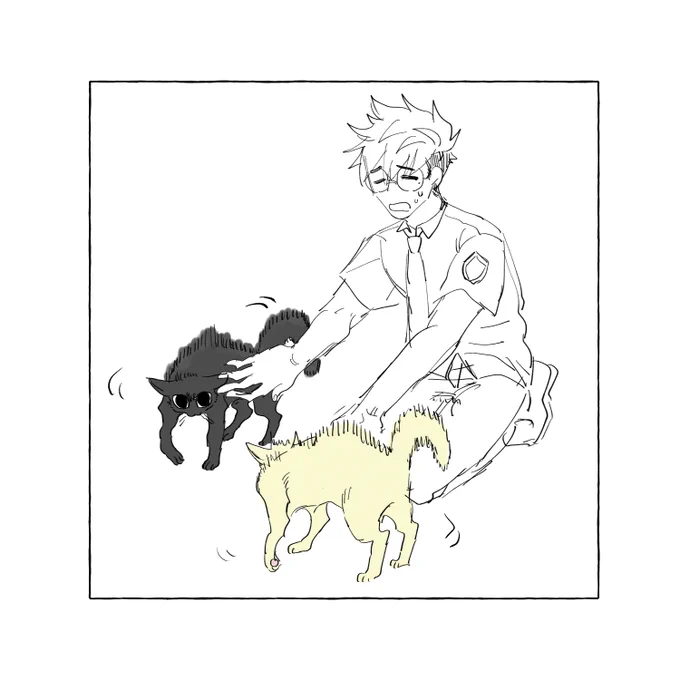 イメージ画像です 