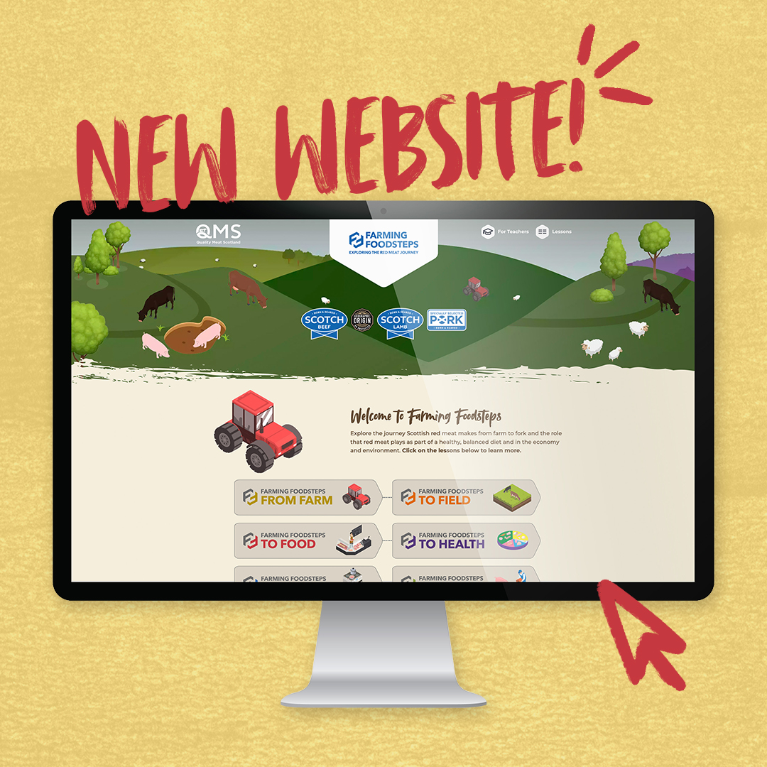 Make it Scotch Education tweet media