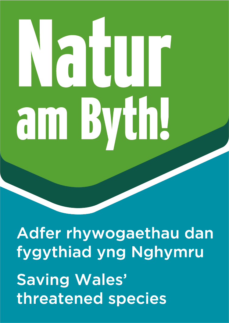 ✨RECRUITING! ✨we're creating over 20 jobs for the Welsh environment sector! 1st five adverts now live with <a href="/NatResWales/">Cyfoeth Naturiol Cymru | Natural Resources Wales</a> <a href="/Love_plants/">Plantlife</a> <a href="/savebutterflies/">Butterfly Conservation 🦋</a> 👇
shorturl.at/qsHU7 shorturl.at/hGLQS shorturl.at/rAMY6 shorturl.at/fgU01 🦋shorturl.at/nEGZ1 🌿