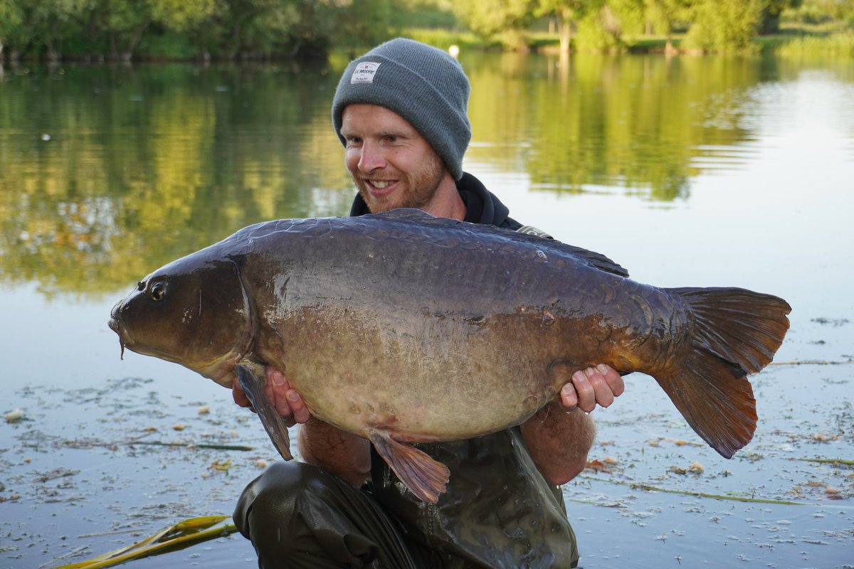 ccmoore_baits's tweet photo. Pro-Stim Liver buzz
CCM Team Member Ash Bailey took our new Pro-Stim Liver bait on a trip to his syndicate. 15 fish later and 4 (!) of his target fish, Ash was pretty happy to say the least 🔥
.
It’s coming….
.
.
.
#ccmoore #mooremeansmore #newbait #testbait #testednotrushedout https://t.co/wGFe4sGr8B