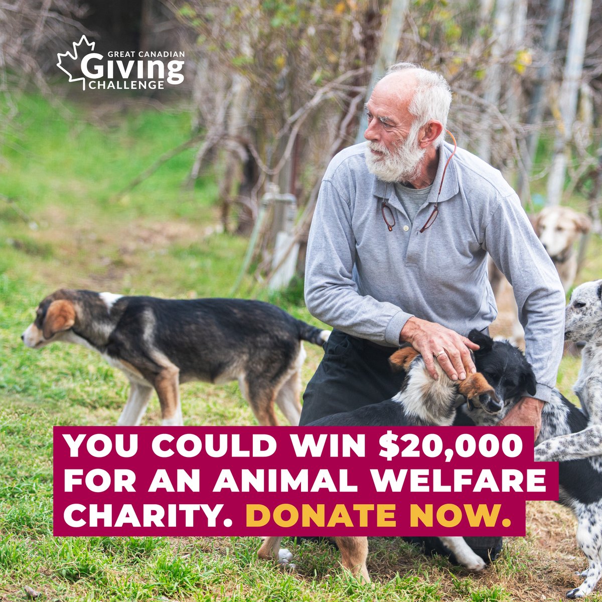 Imagine the impact that $20,000 can have on animals in need – across Canada and around the world! Browse animal welfare charities today and enter them for a chance to WIN. Visit: canadahelps.org/en/support-ani… #GivingChallengeCA

#fact #stat #charity #canadahelps