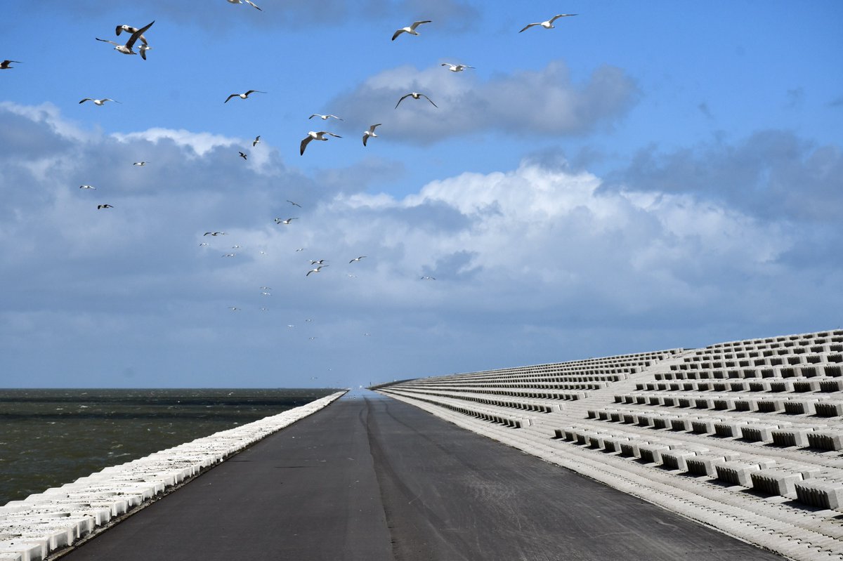 Wandelnet tweet media