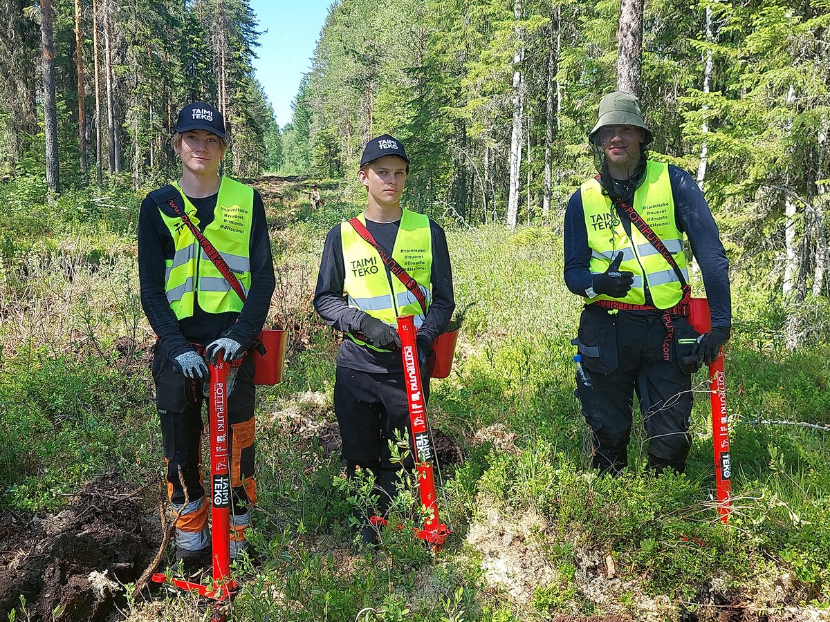 Juhannusviikolla metsitetään yhteensä seitsemän hehtaaria ilmajohtojen alta vapautuvaa maata Elenian verkkoalueella Jämsässä ja Hämeenlinnassa. Taimia istutetaan tänä vuonna 15 000 kpl. 

Lue lisää bit.ly/taimiteko2023

#taimiteko #4H #ympäristötyö #vastuullisuus #elenia
