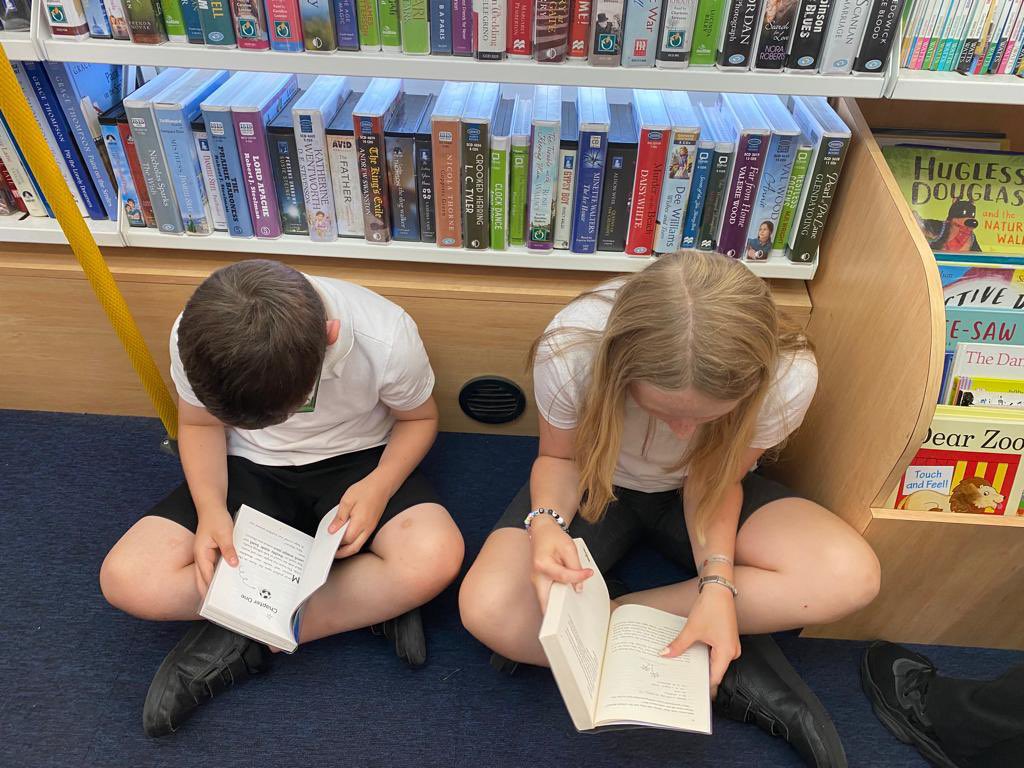 HOSM Primary tweet media