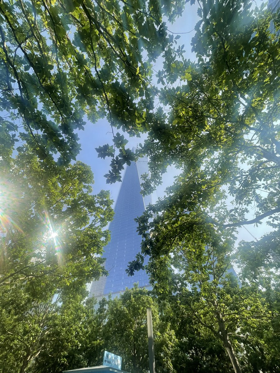 9/11 Memorial Museum 💫