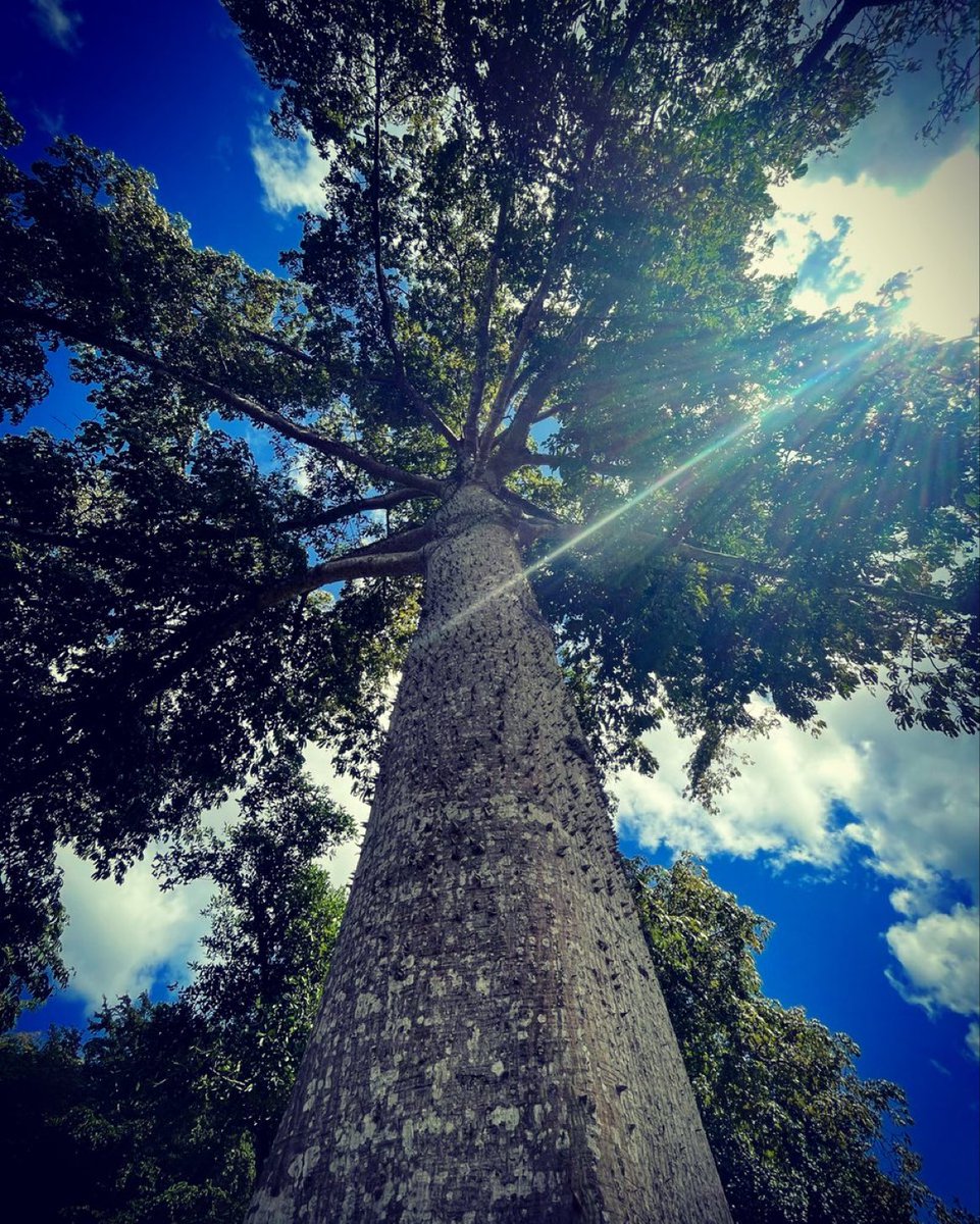 Copywriters, let’s strive to be compelling in ways that sell. That’s how we get paid. 

“When I write an advertisement, I don’t want you to tell me that you find it ‘creative.’ I want you to find it so interesting that you buy the product.” 

—David Ogilvy