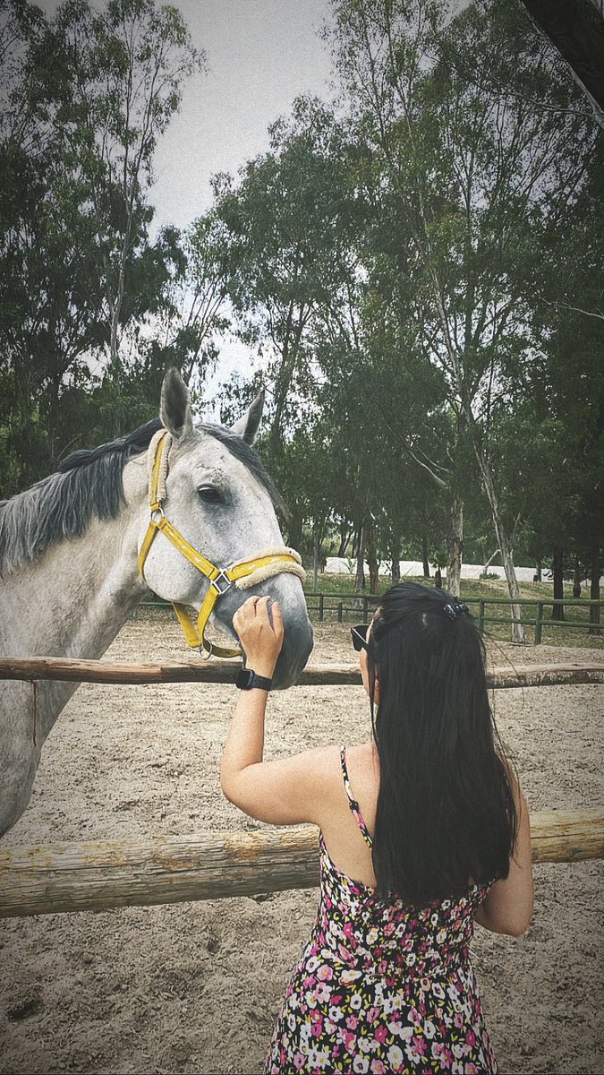 Çok seviyorum 🐎