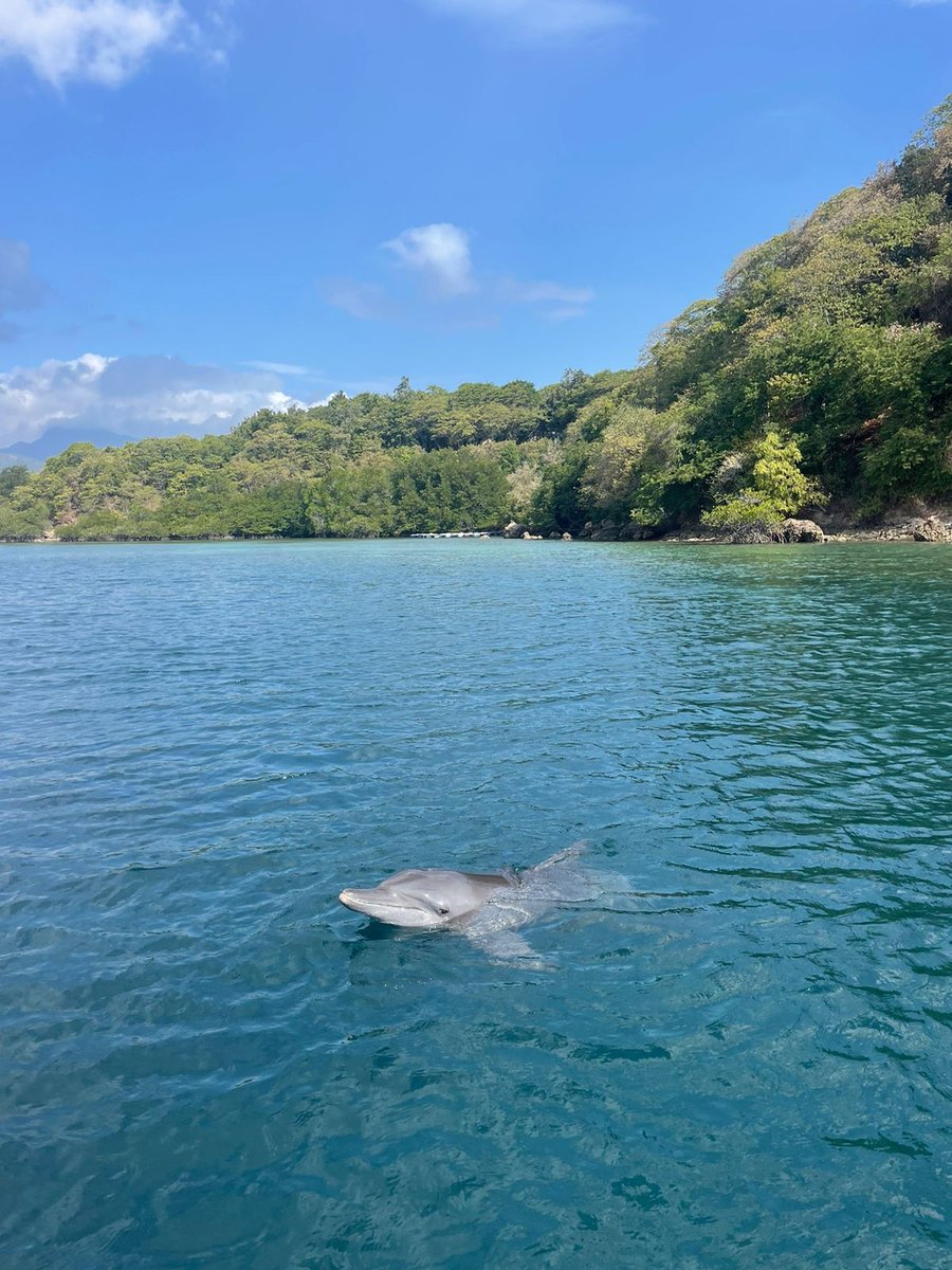 Fy_OceKXoAANWZ7?format=jpg&name=medium