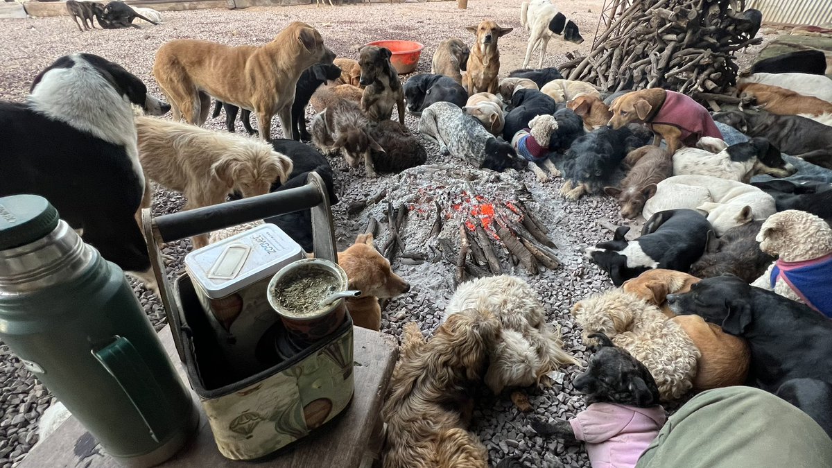 canichones's tweet photo. Por acá siempre arrancamos igual. Un fogón. El Mate. Un mundo hermoso. Mis perros. 

Sean felices !! Este camino llamado vida es solo un rato !!

No dejes para mañana lo que puedas hacer hoy !! 

“El que No Vive Para Servir No Sirve Para Vivir” (Madre Teresa de Calcuta) https://t.co/hNtgGTmwHx