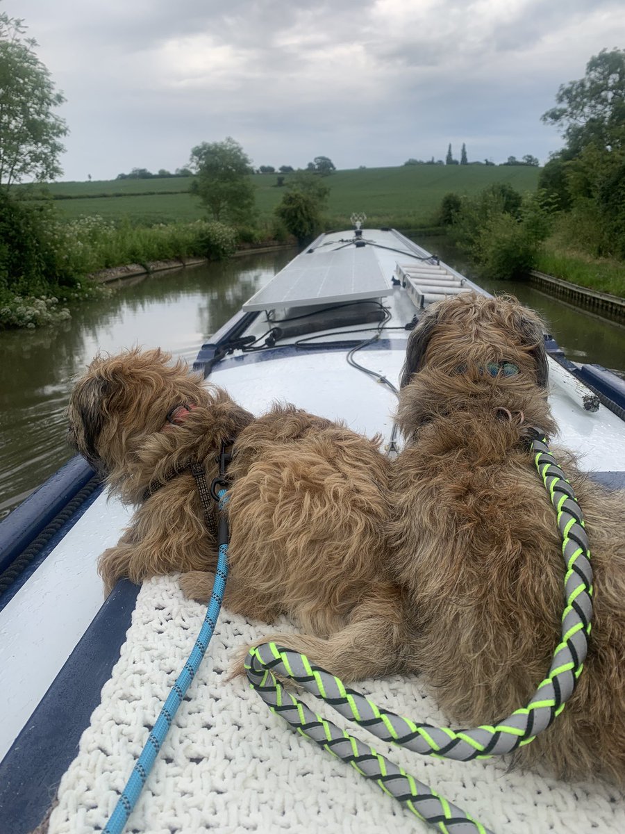 We finks dis makes uz boat dogs now #BTPosse Pals? #slowlyslowly #justrelax 🐶🐶🐾🐾