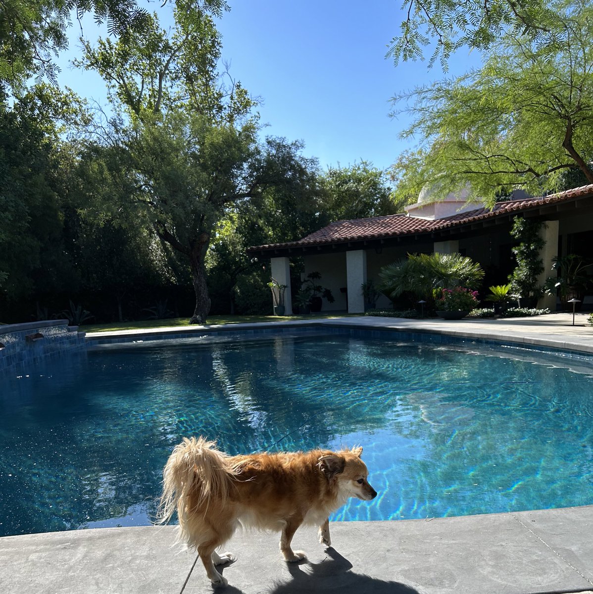 EV007_'s tweet photo. Goodmorning! Who’s coming to swim w/ me today ?? 😎 #Muscle #Jock #StPetersburg #Flordia #Winning #Peace https://t.co/KfFALNzo5B