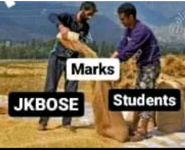 _kaeshurbache's tweet photo. #class10thresults https://t.co/69N1KfMqjX
