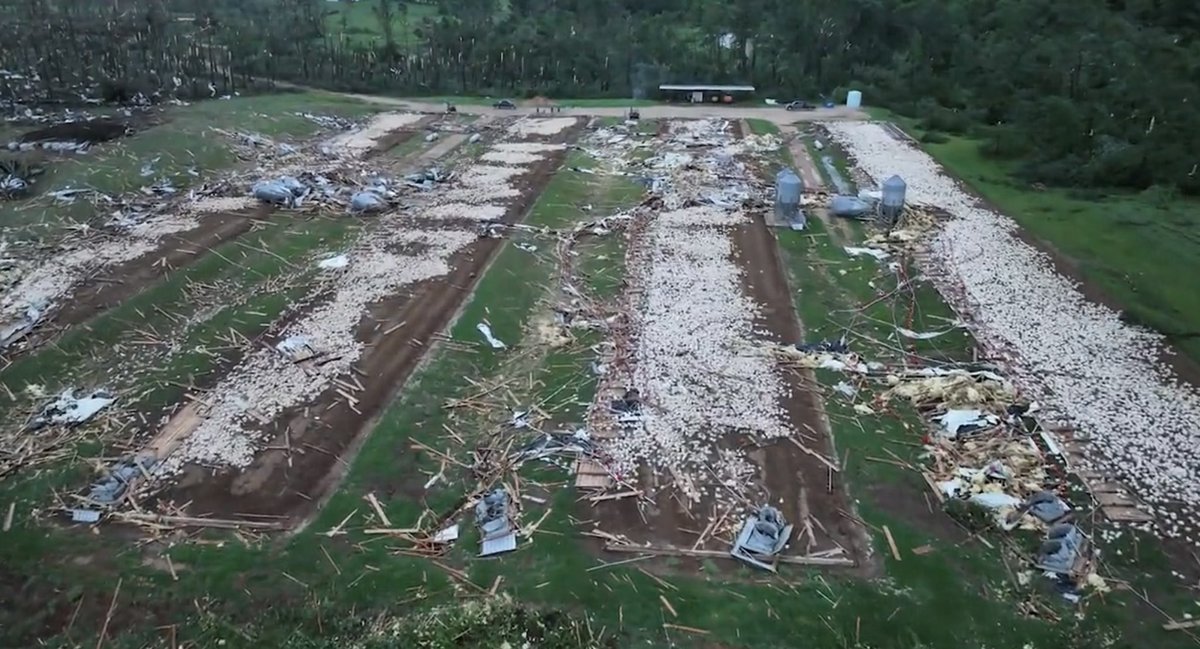 Nicholas Krasznavolgyi on Twitter "(1/2) Best analog I’ve seen for the