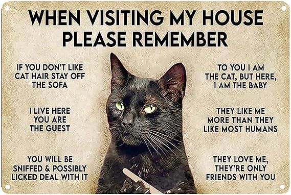 Those of you who know I have a few cats understands this