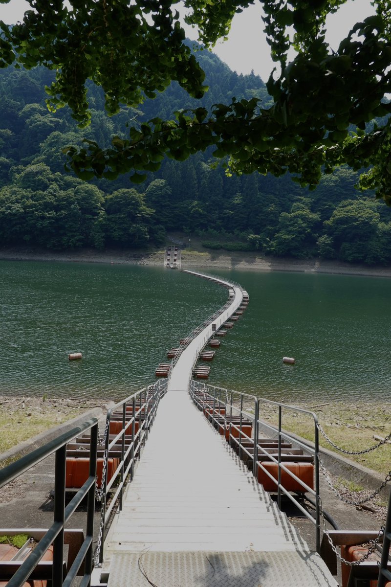 mainichi_03's tweet photo. 奥多摩 https://t.co/ziYieUzb7E