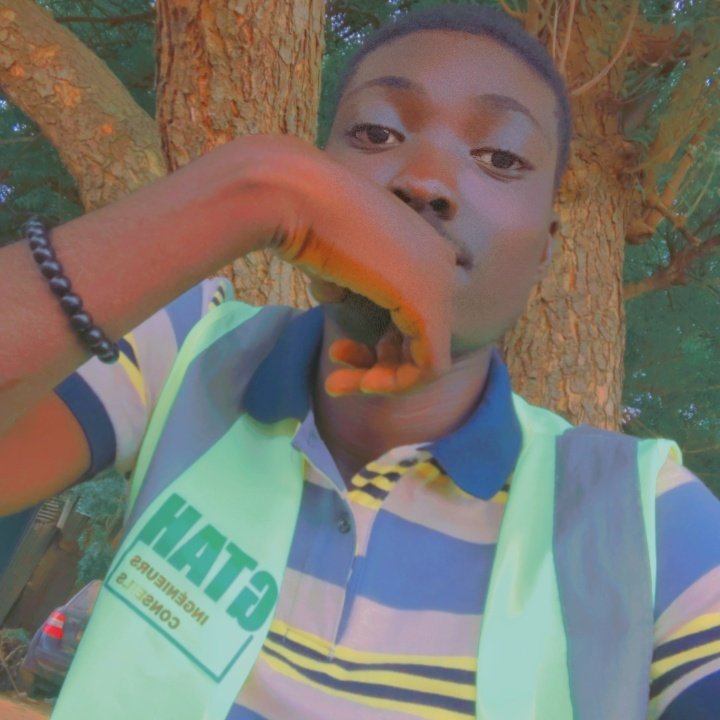 Kingtarane's tweet photo. J'ai un rêve, être ingénieur 👷🏽‍♂️ https://t.co/LWzMuQ4sxn