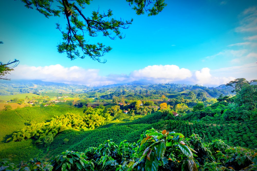 My Latin Life 🌴 on Twitter "You could live in Pereira, Colombia on