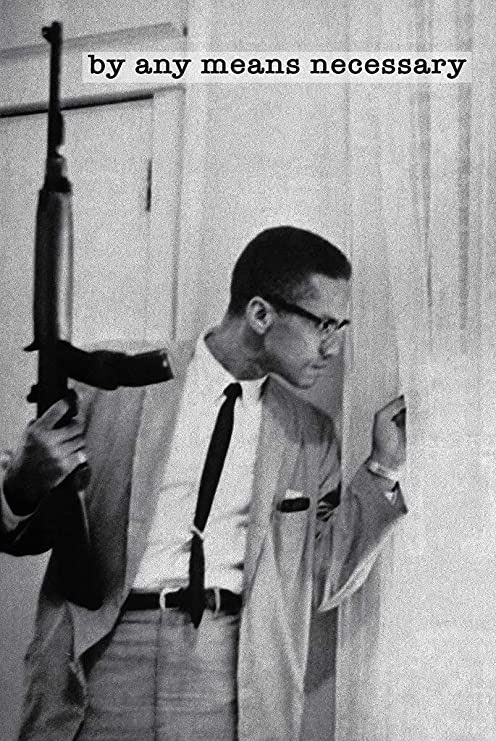 “We declare our right on this earth to be a man, to be a human being, to be respected as a human being, to be given the rights of a human being in this society, on this earth, in this day, which we intend to bring into existence by any means necessary.” - MalcolmX, 1965