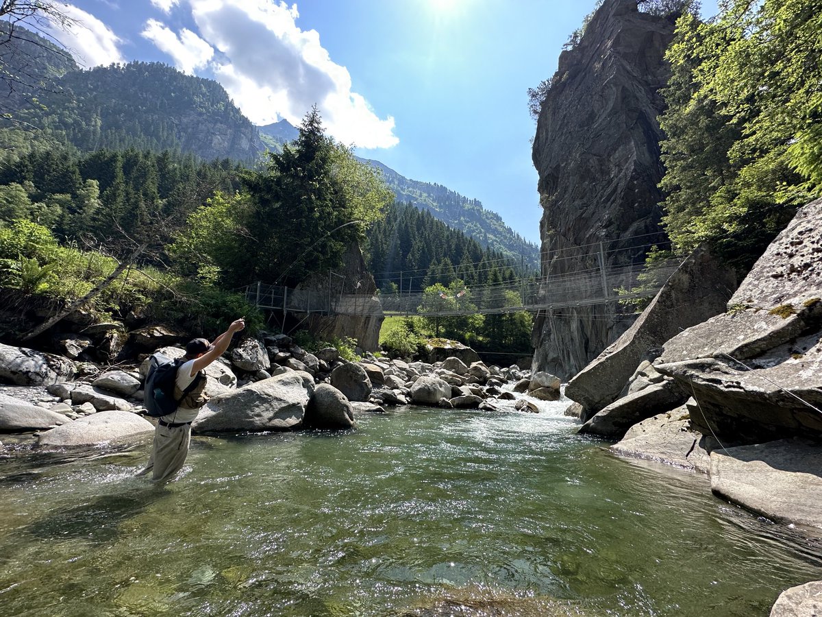 Nick Carter (@epsenvuk) on Twitter photo 