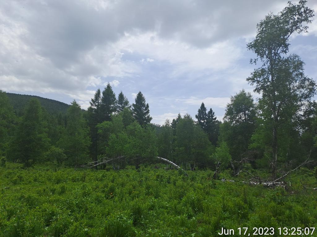 Дэндүү тансаг.