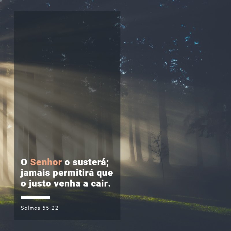 enteu's tweet image. Cast your cares on the Lord and he will sustain you; he will never let the righteous be shaken.

Entregue suas preocupações ao Senhor, e ele o susterá; jamais permitirá que o justo venha a cair.

Salmos 55:22