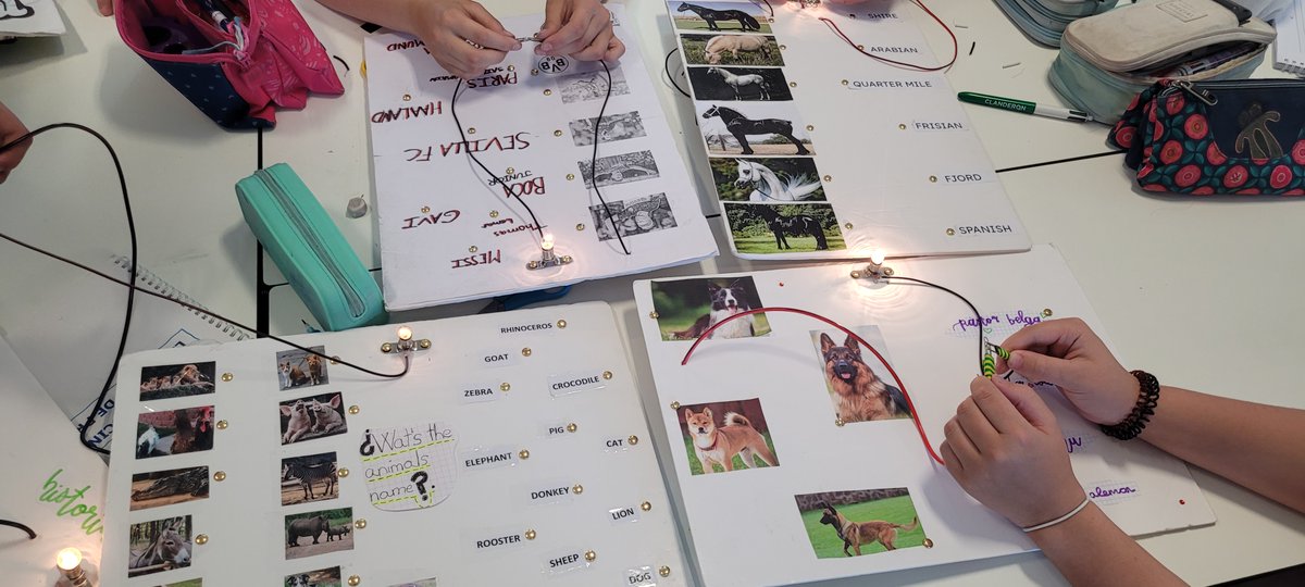 Our last Natural Science project. Let's use the to play with it!💡
#colegiocanillejas #EducaciónDeCalidad #micolemola