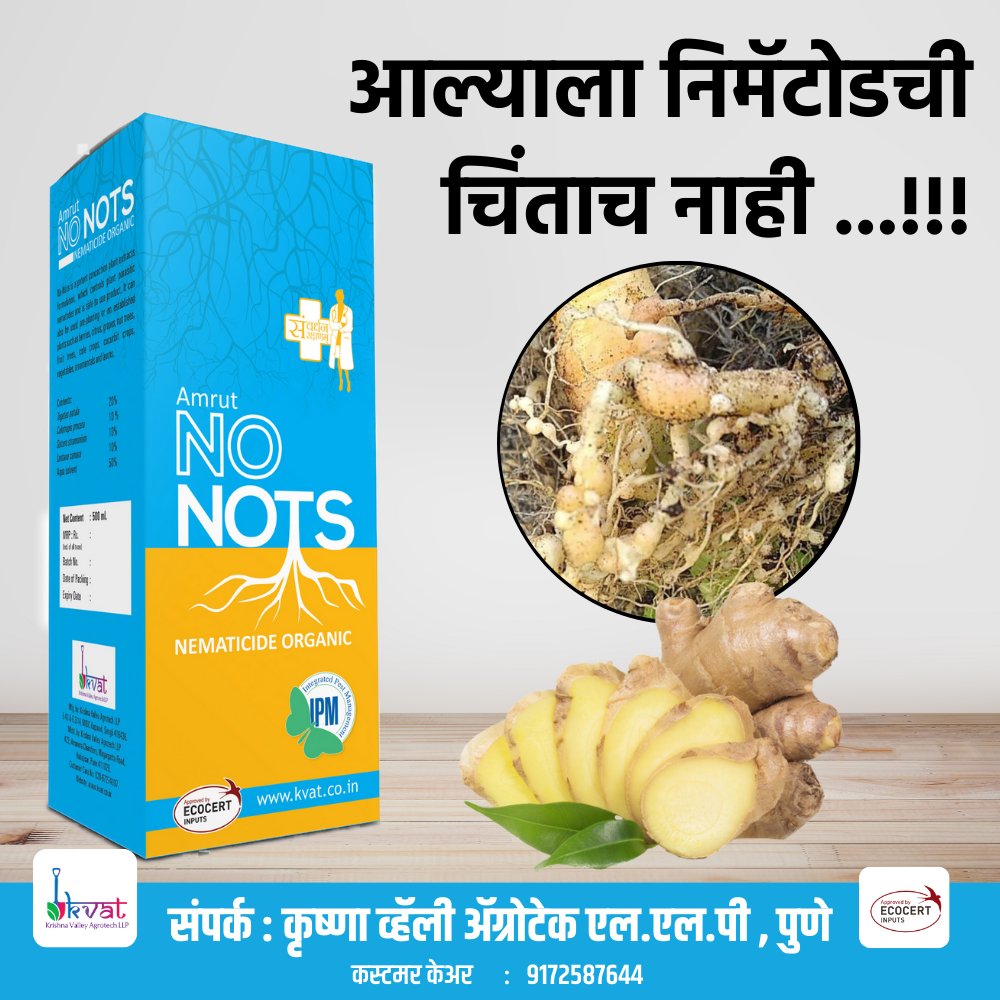 आल्याला निमॅटोडची चिंताच नाही ...!!!
#ginger #GingerFarming #solutionforfarmer #solutionsprovider #bestproducts #productreview #satisfiedfarmer #farmersmarket #farming #farmers #ChemicalPesticides #chemicalfreeproducts #pune