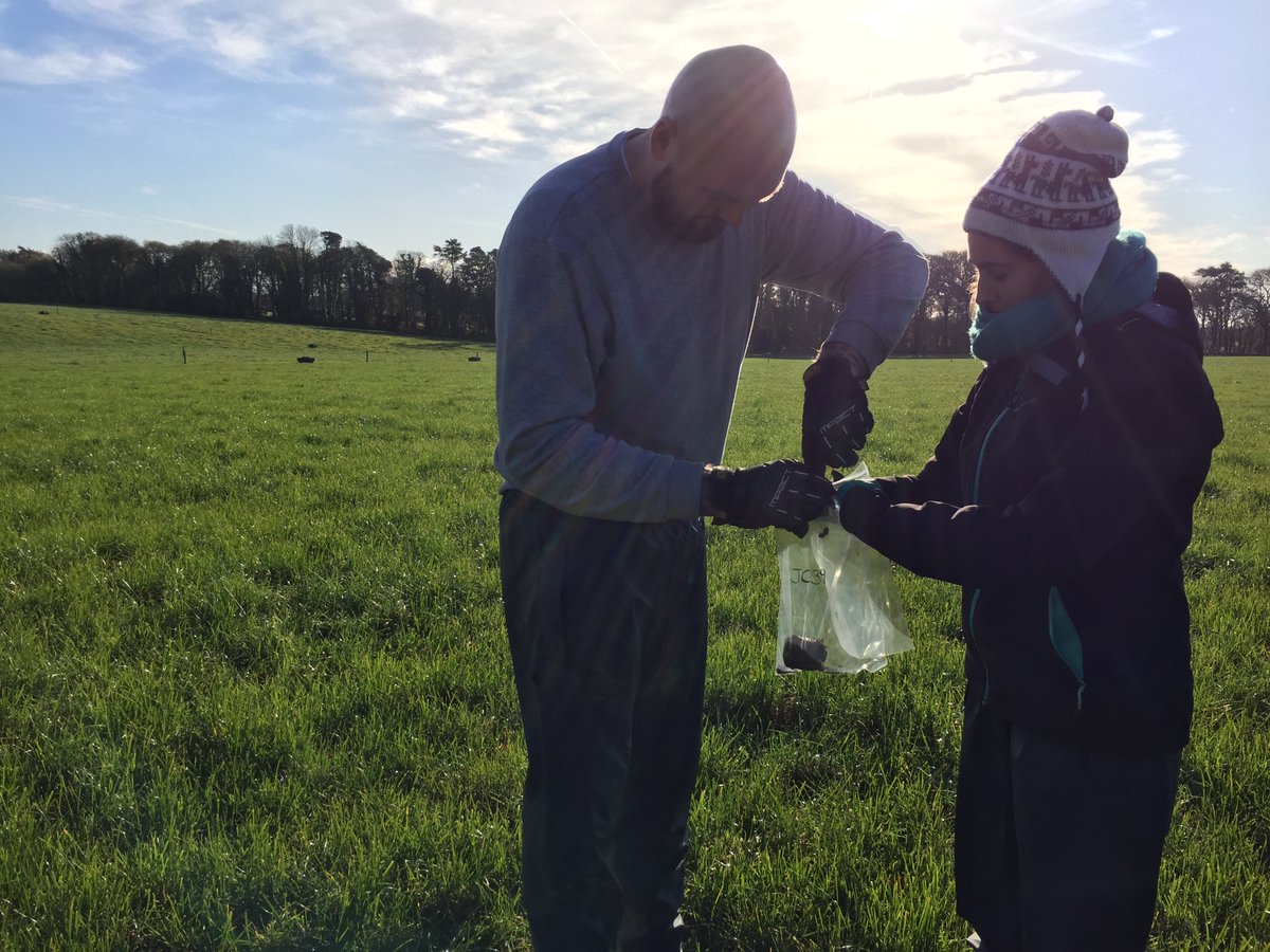 coline_micro's tweet photo. It took me a year but our #dataset with soil bio/physico/chemical data associated with potential #nitrification and #denitrification for 32 Irish grasslands is now available! https://t.co/VhMCMafcgA Hooray @Soilmicrobio @PaulaAnRo2010 @jamesrambaud :) https://t.co/tsRYd4fgCm