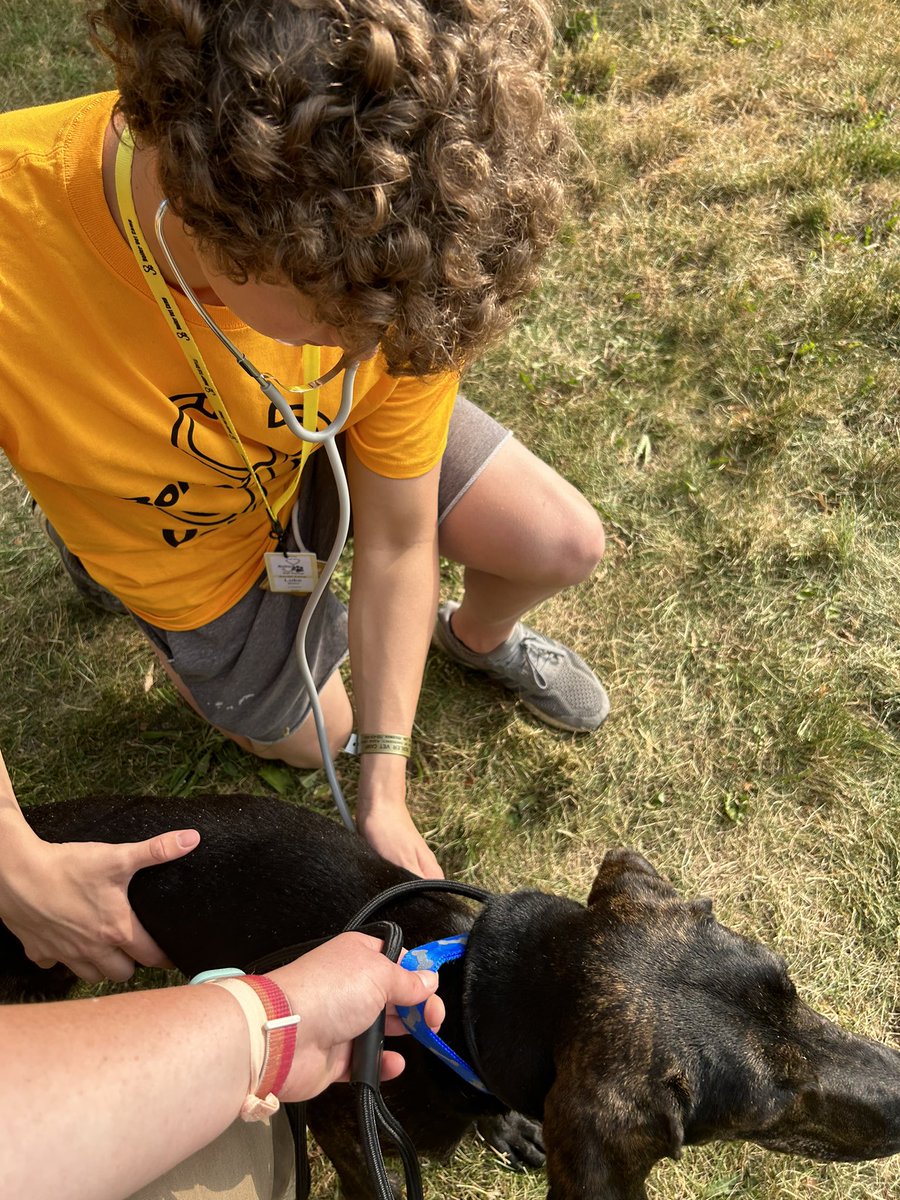 BoilerVetCamp's tweet photo. Bishop was the star of the show this morning! #teambishop #PUVM #lifeatpurdue https://t.co/OSwzzIqGL6