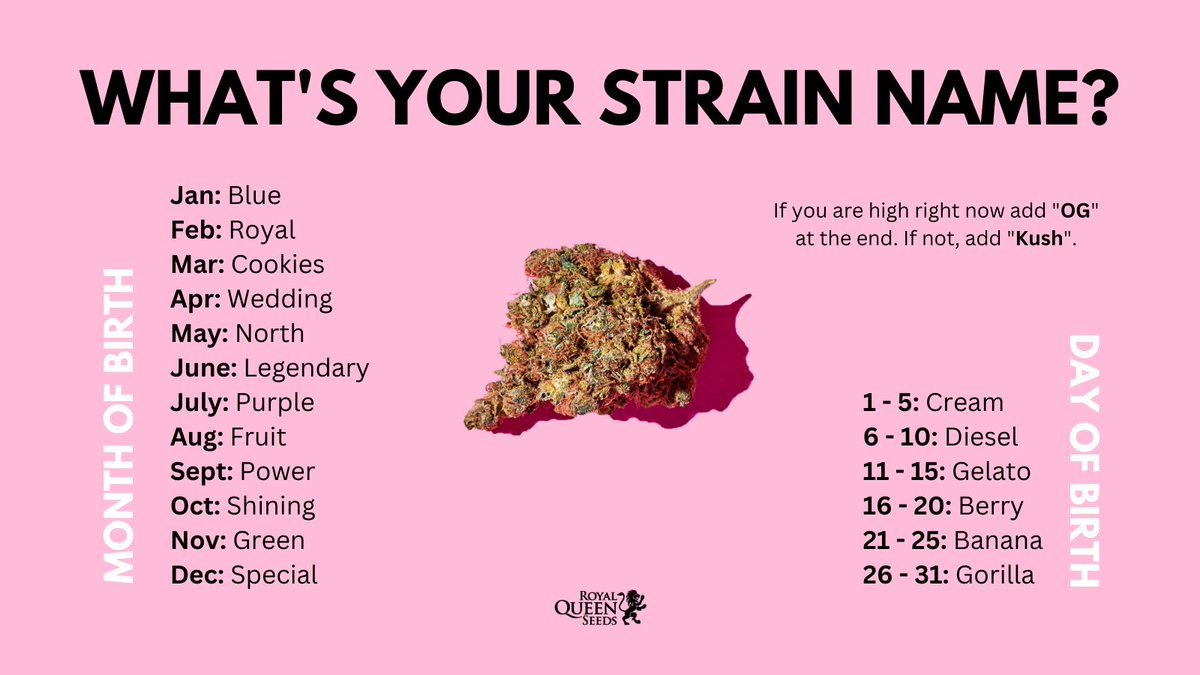I'll go first: Fruit Diesel OG 🫣 What about yours?