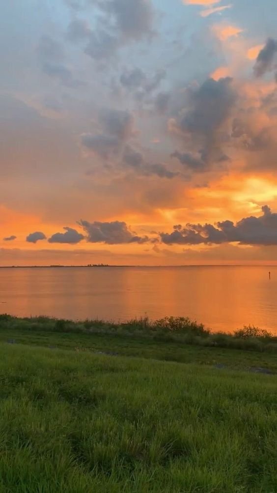 artindetails's tweet photo. golden view. https://t.co/D3BtPm83Vz
