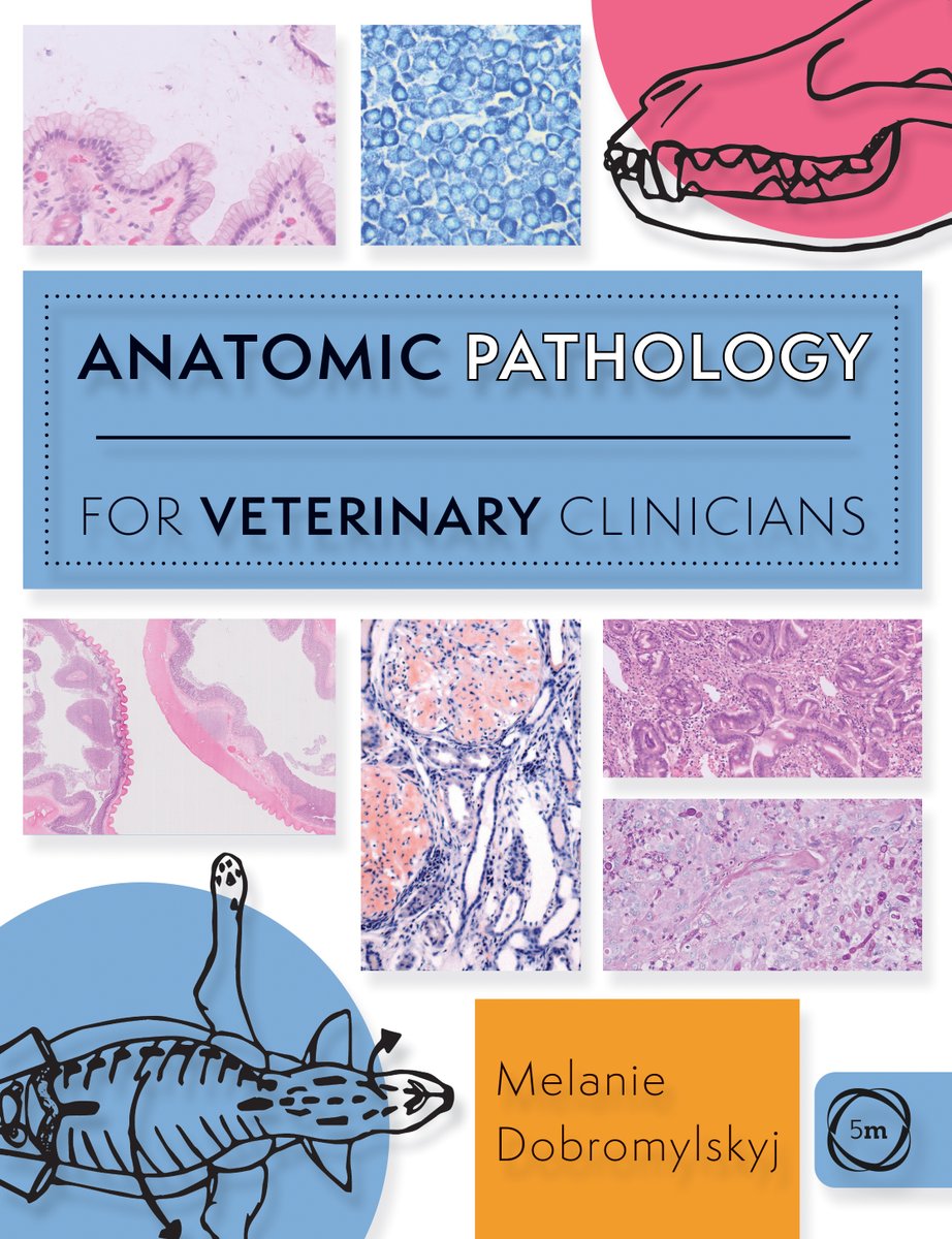 5m_Books's tweet photo. COMING SOON
"Anatomic Pathology for Veterinary Clinicians"
Sneak a peek: https://t.co/SL13mNfLyU
More information & pre-order - https://t.co/sQ9FqtFGyU...
#veterinarymedicine #veterinary #pathology #oncology #biopsysamples #biopsies #sampling #fixation #5mbooks @crazycatpath https://t.co/kal3W6WuHe