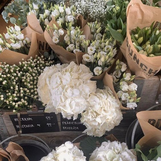 artindetails's tweet photo. white flowers https://t.co/JpttxGAwyH