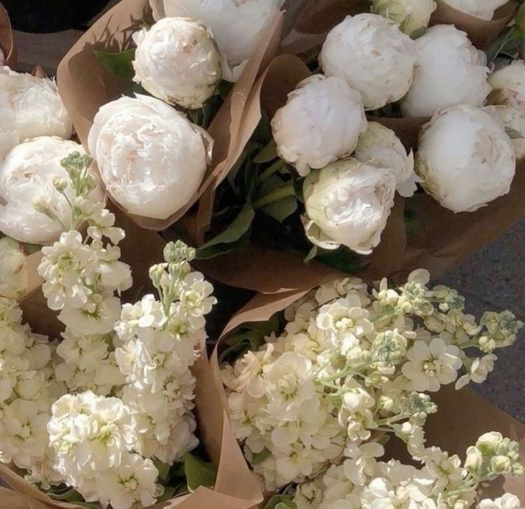 artindetails's tweet photo. white flowers https://t.co/JpttxGAwyH