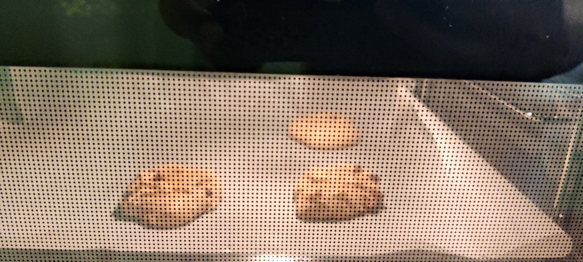 pop_OTwithDCD's tweet photo. Baking cookies today in our neuro early supported discharge trial! Top tier occupation:
 Sequencing ✅ pacing ✅ problem solving ✅ functional mobility ✅ balance ✅ exploring touch sensitivity ✅ bimanual coordination ✅ TASTY ✅ (I hope) @curlyclur @bch_ot @BCHPhysio https://t.co/gldTY3wxaR