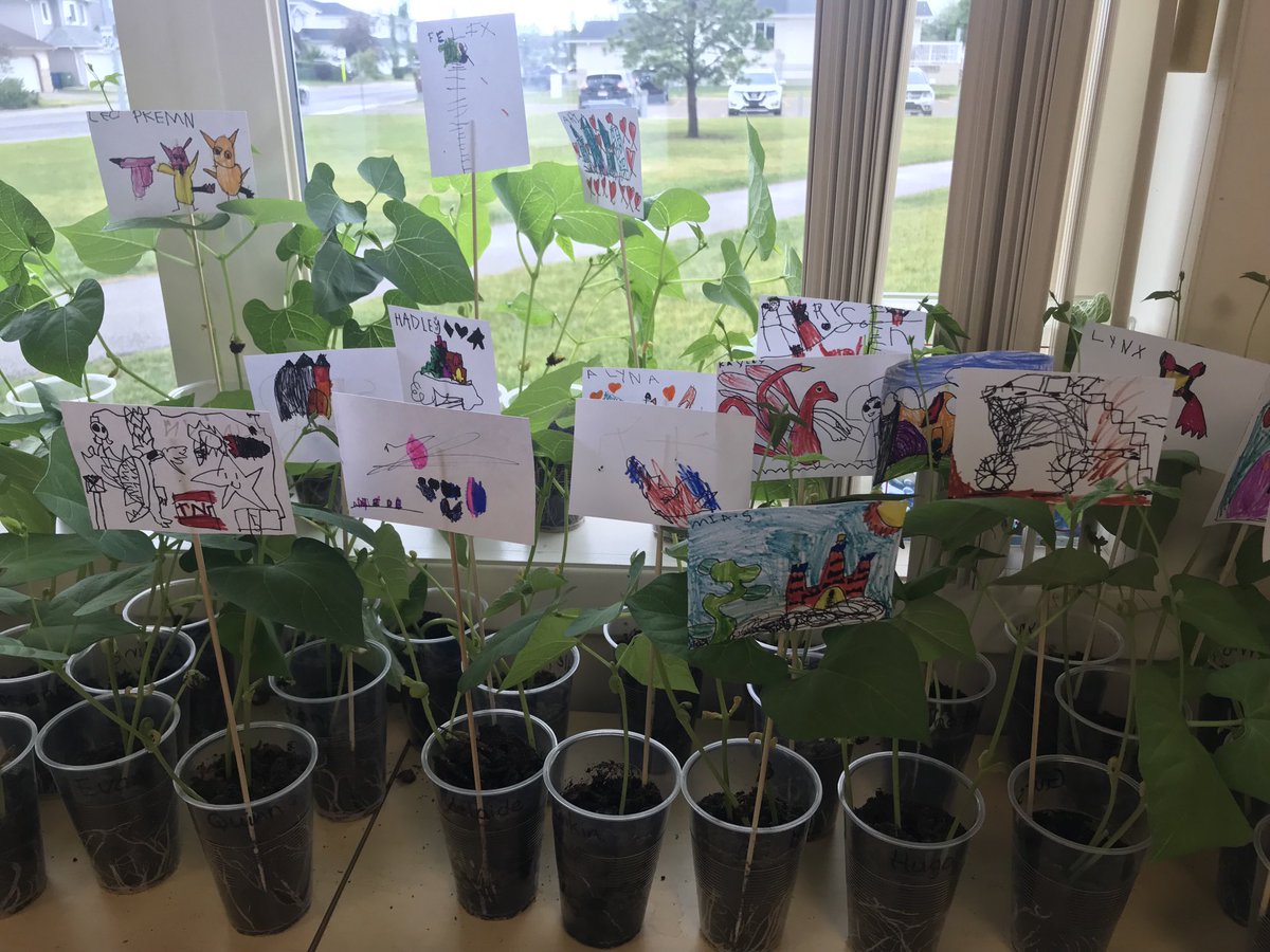 M Stepanowich tweet media