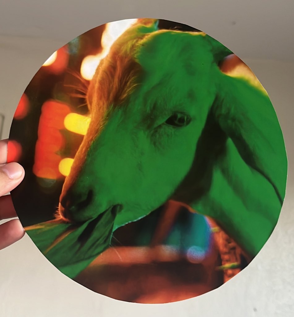 WaDaDaF_ck's tweet photo. Yo no tengo PC de la cabra pero I’m the one who took the circular pic home, my new bias🐐 (Sorry Mingi🫢)
#OUTLAWinPR #ATINYinPR #POPUPTEEZ @WorldInHazel @hello82official @ATEEZcommunity @ATEEZofficial https://t.co/E5m2Sqfyo1
