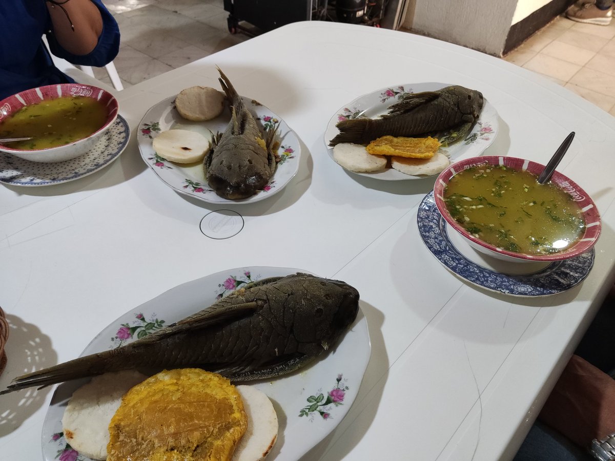 Melquisedec70's tweet photo. ¿Caldo de cucha o miedo?
Pitalito https://t.co/izuc9HJnsU