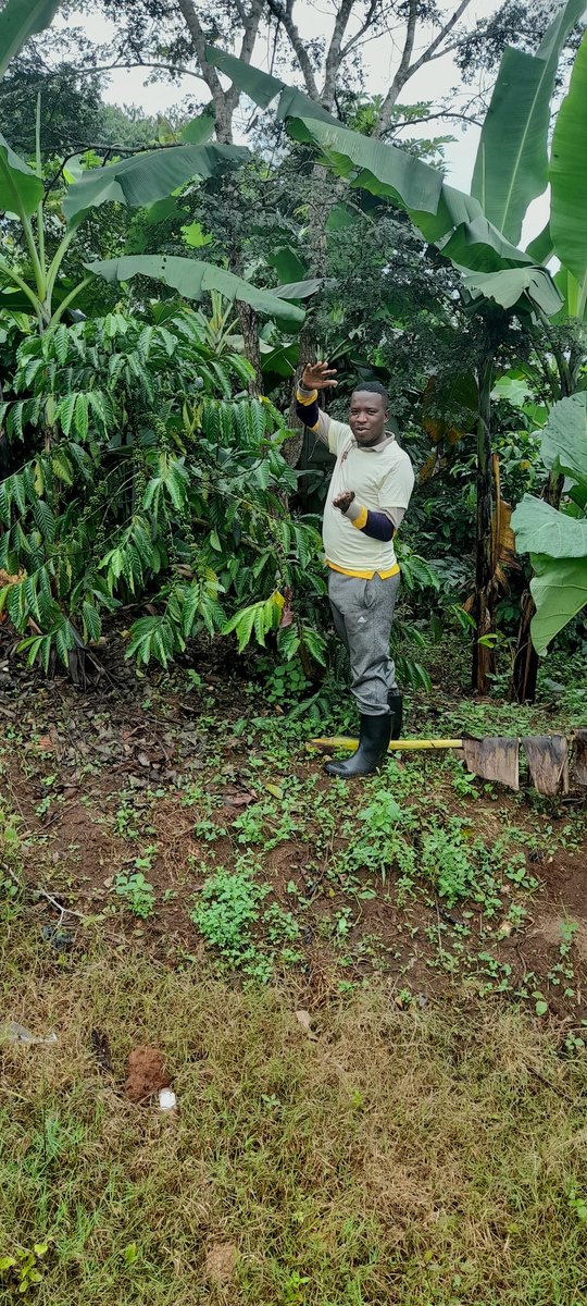 Lule Tefeero tweet media