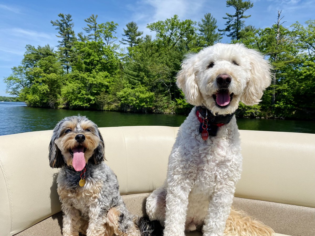 Jennifer Hellman tweet media