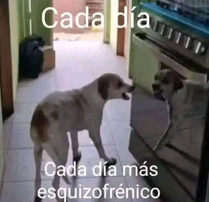 diojodior's tweet image. 