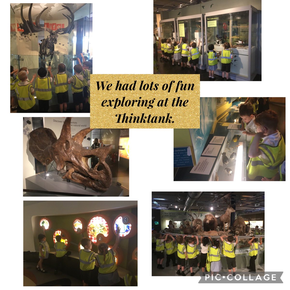 stjosb30school's tweet image. Our reception children loved their trip to the Think Tank last week. A great day of adventure, fun learning. The children were a credit to the school throughout, always smiling 😊
We are so proud of their first year with us at St Joseph’s.