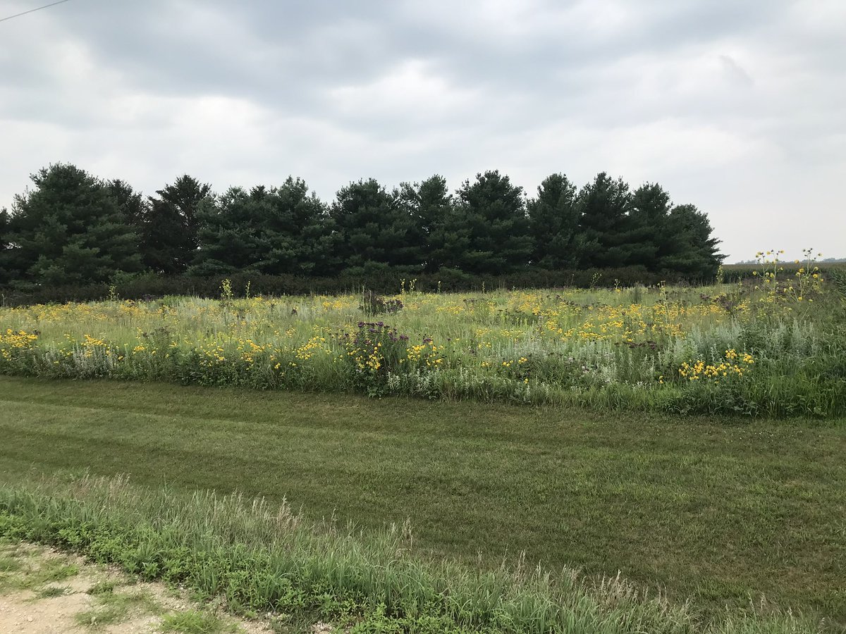 Wayne Fredericks tweet media