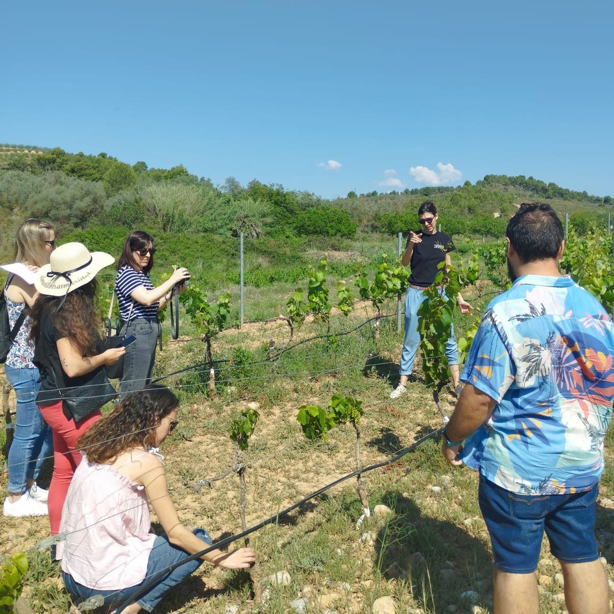 turcastellon's tweet photo. 📍 El sábado, empezamos el día visitando la @coopviver, donde visitamos los cultivos y conocimos los procesos de cuidado. ¡Muy interesante! ✨ Además, al finalizar la visita nos prepararon una cata en la que pudimos degustar sus productos.
#CastelloRutadeSabor #BlogtripCRS https://t.co/dhAVK9NY0v