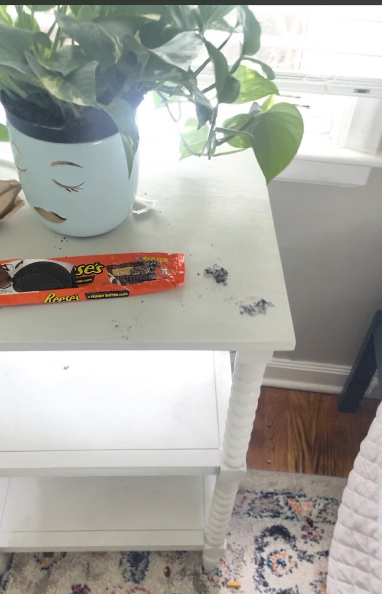 YogaBear's tweet photo. Evolve signed a contract with me under the preface they would not allow anyone guest under 25 in my home…. But that was a lie. Guests left drugs everywhere in my home and destroyed my home https://t.co/lFgfIE5k9Z