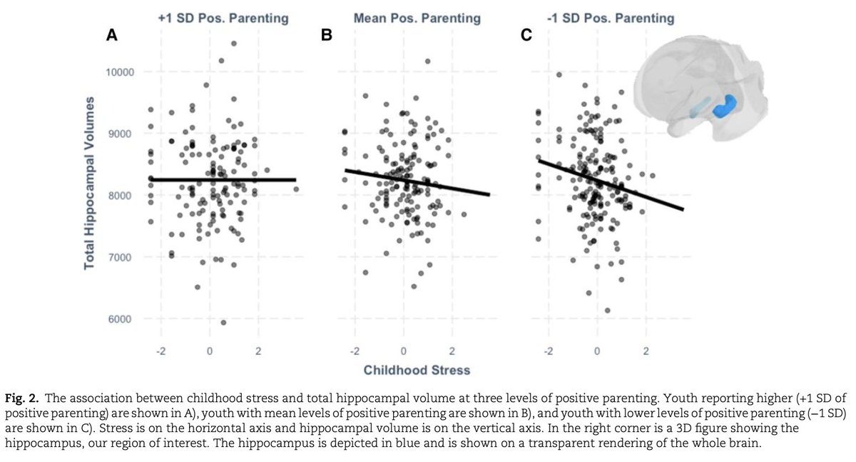 Excited to post about this one "Positive parenting moderates associations between childhood stress and corticolimbic structure" doi.org/10.1093/pnasne…

Quick 🧵 /1